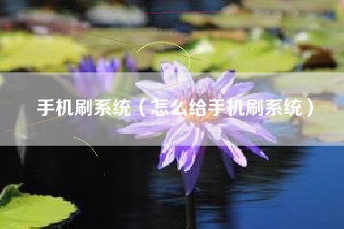 手机刷系统（怎么给手机刷系统）