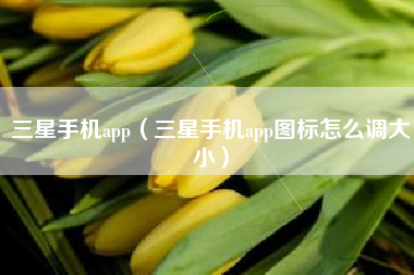 三星手机app（三星手机app图标怎么调大小）