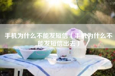 手机为什么不能发短信（手机为什么不能发短信出去）
