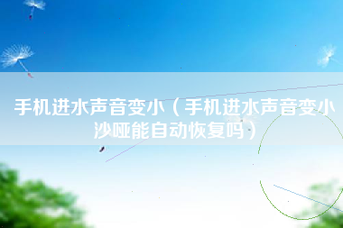 手机进水声音变小（手机进水声音变小沙哑能自动恢复吗）