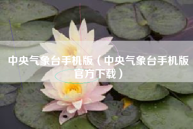 中央气象台手机版（中央气象台手机版官方下载）