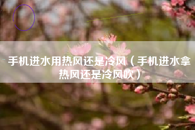 手机进水用热风还是冷风（手机进水拿热风还是冷风吹）
