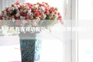 手机有夜视功能吗（手机自带夜视仪）