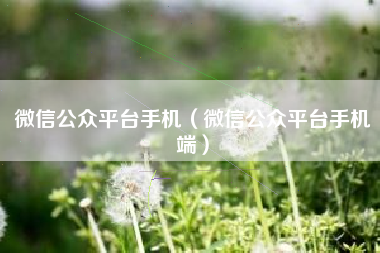 微信公众平台手机（微信公众平台手机端）