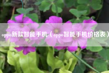 oppo新款智能手机（oppo智能手机价格表）