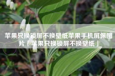 苹果只换锁屏不换壁纸苹果手机屏保图片「苹果只换锁屏不换壁纸」