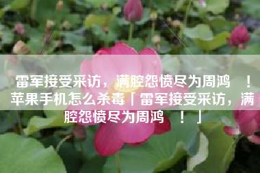 雷军接受采访,满腔怨愤尽为周鸿祎!苹果手机怎么杀毒「雷军接受采访,满腔怨愤尽为周鸿祎!」 雷军接受采访,满腔怨愤尽为周鸿祎!苹果手机怎么杀毒「雷军接受采访,满腔怨愤尽为周鸿祎!」