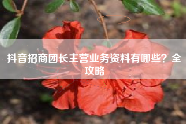抖音招商团长主营业务资料有哪些？全攻略