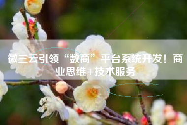 微三云引领“数商”平台系统开发！商业思维+技术服务