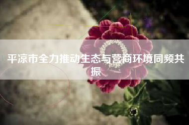 平凉市全力推动生态与营商环境同频共振